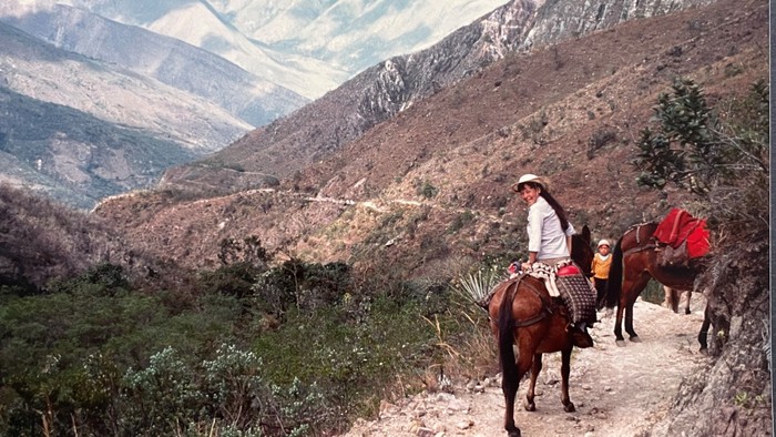 En gruppe på heste ridder gennem et bjerglandskab