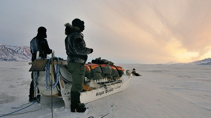 Toer trækkes med hundeslae til en slæde på sneedejligt landskab