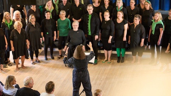 En gruppe dansere i sort og grøn på scenen med en instruktør og publikum.
