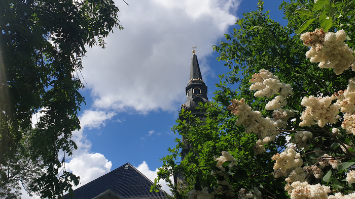 En kirke med tårn og spire, omgivet af træer og blomster.
