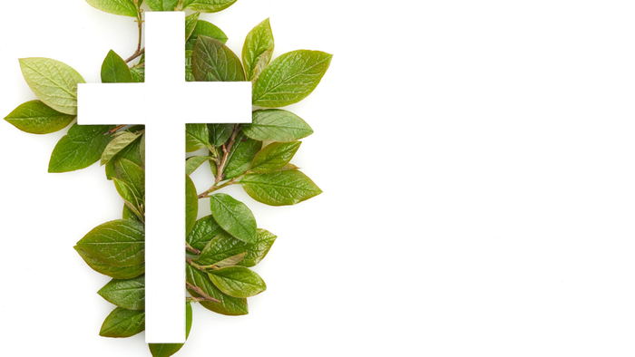 Et hvidt kors omgivet af grønne blade