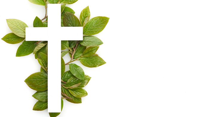 Et hvidt kors omgivet af grønne blade