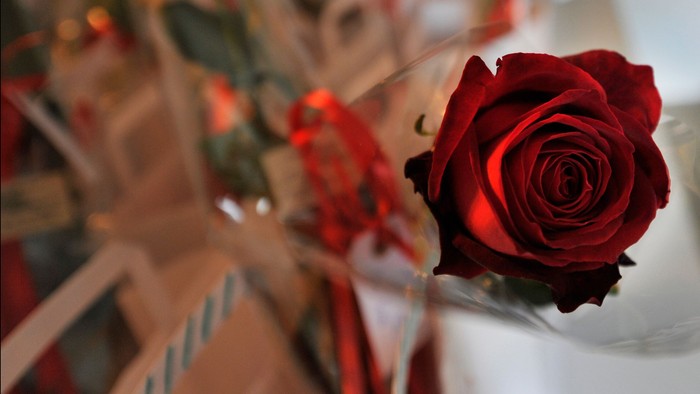 En rød rose i en glasvase med blomster og pynt.