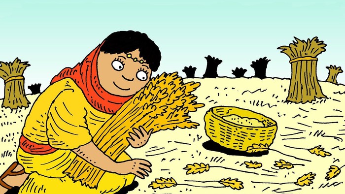 Eine Frau bindelt Getreide in einem Feld.