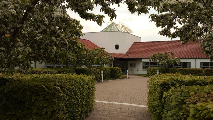 En smuk og velholdt have med en central gang og høje buske på hver side