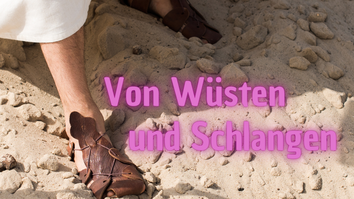 Poster für Veranstaltung über Wüsten und Schlangen am 25.02.2024