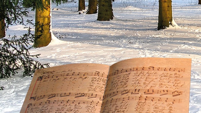 En åben bog ligger i sneen i en skov.