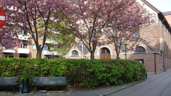 En smuk park med blomstrende træer og benker