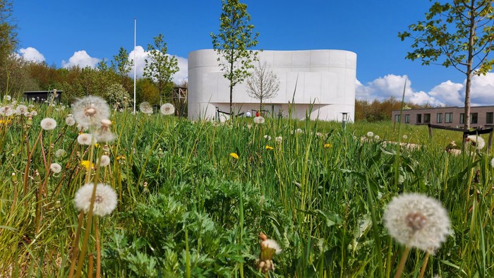 En grøn og blomstrende eng med købshus og træer i baggrunden