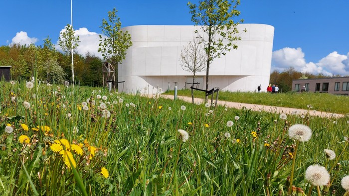 En grøn og blomstret mark med et moderne, hvide bygning i baggrunden