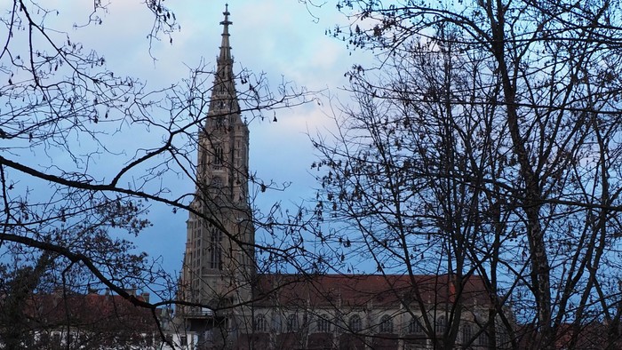 Ein hoher Kirchturm ragt hinter kahlen Bäumen empor, der Himmel ist bewölkt