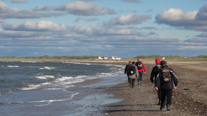 En gruppe mennesker går på en strandoverflade ved kysten