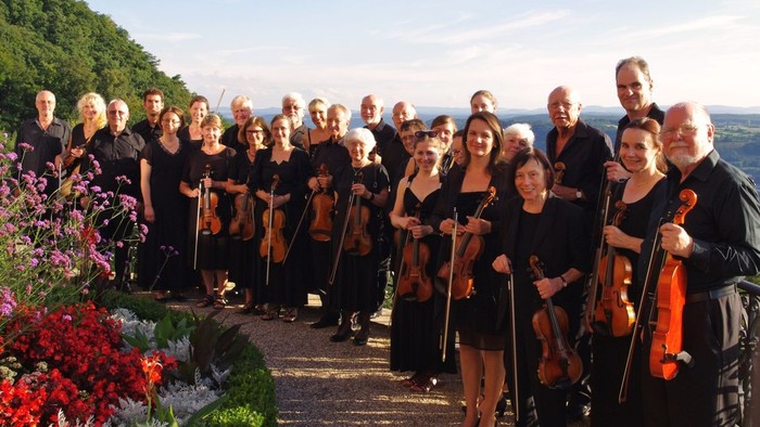 Ein Orchester posiert vor einer malerischen Bergkulisse