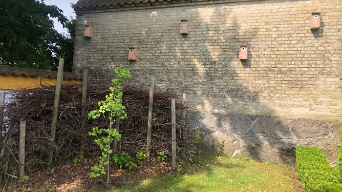 Det gamle stenhus med tagtegl og mursten, omgivet af græs og buske.