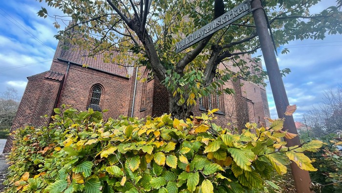 Et rødt murstenskirke med grønne træer og buske foran