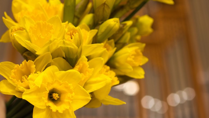 Guldaar med blomster i blomsterbind.