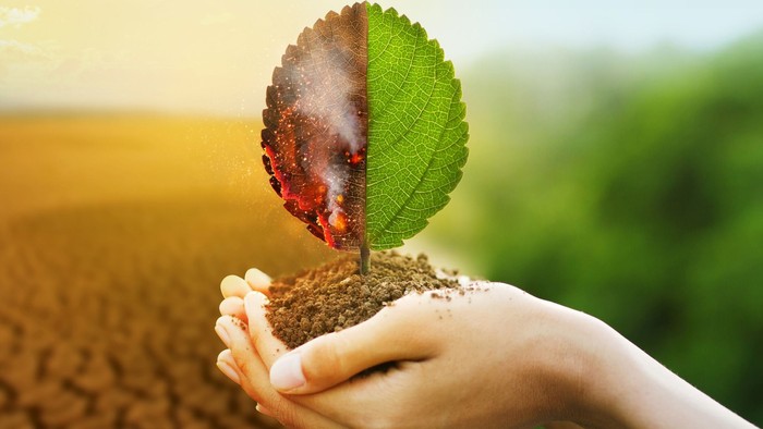 En hånd holder en planteblad, der er delt i grøn og brændt del, symboliserende økologisk balance.