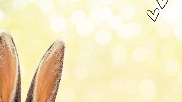 Eine Nahaufnahme von Hasenohren mit Herzen und Bokeh-Hintergrund.