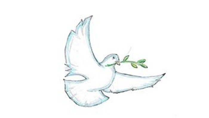 En hvid dunde med olivengrene i næbbet.