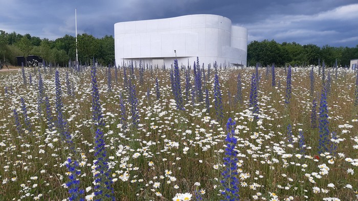 En stor hvid bygning omgivet af et mark med blå og hvide blomster.