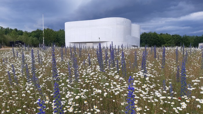 En stor hvid bygning omgivet af et mark med blå og hvide blomster.