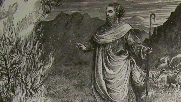 En mand i lange klæder med en staf går med en flok får.