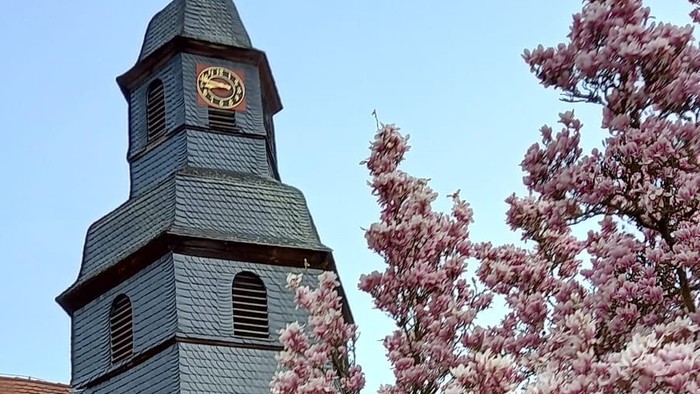 Kirche mit Uhrturm hinter einem blühenden Baum