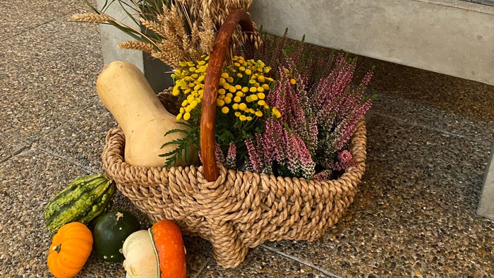 En kurv med frugter og grønne spær på bænk