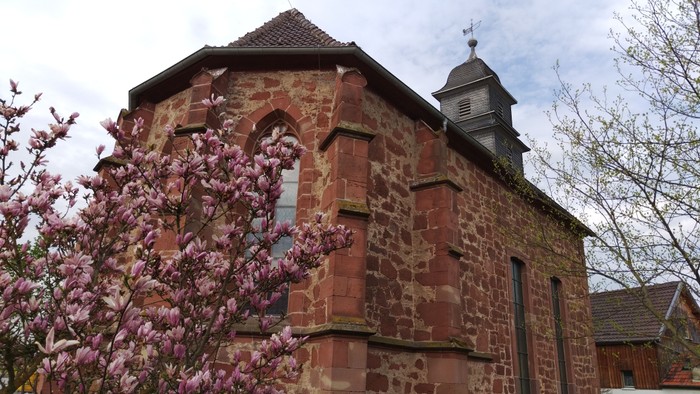 Steinkirche mit Uhrturm und blühendem Baum im Vordergrund