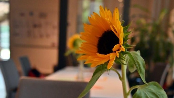 Ein Bild von einem kleinen Tisch mit einer Sonnenblume und einer Kaffetasse.