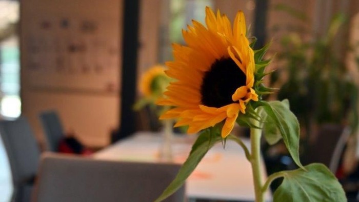 Ein Bild von einem kleinen Tisch mit einer Sonnenblume und einer Kaffetasse.
