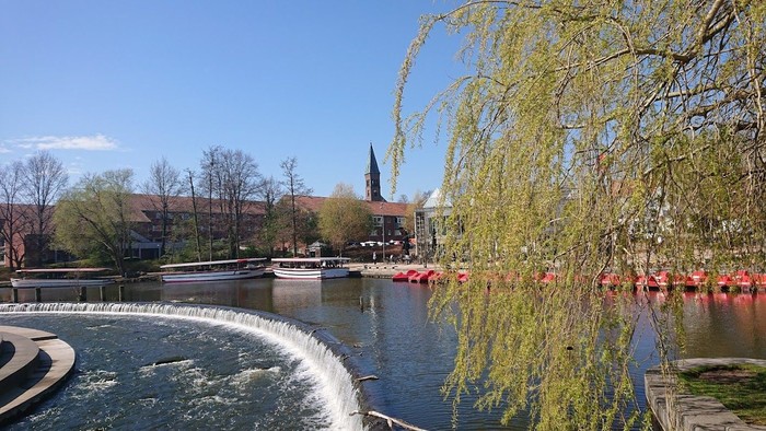 En smuk bro over vand med træer og bygninger i baggrunden
