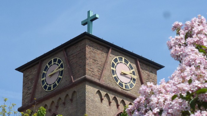 Ein Kirchturm mit Uhr und Kreuz, umgeben von blühenden Kirschblüten