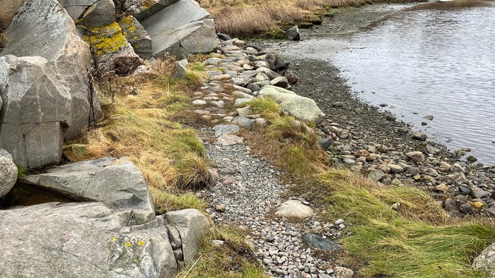 Felsige Küste mit Grasflecken und Wasser.