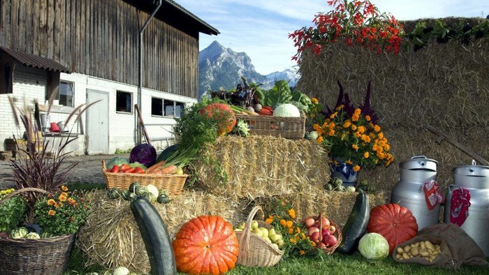 En husholdning med høstprodukter og blomster foran en stald med bjergområde i baggrunden