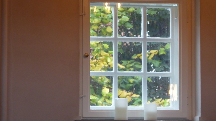 Et vindue med grønne planter udenfor