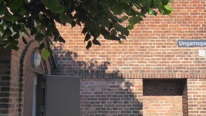 En mur af røde mursten med sort dør og grønne blade.