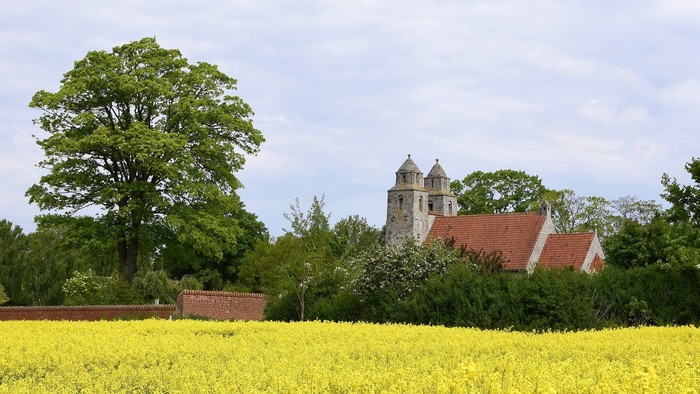 En kirke med røde tag i en åben mark med gule blomster og træer