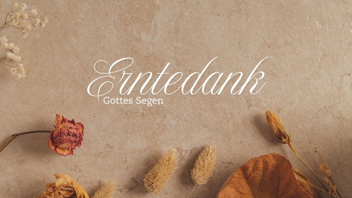 Einfache und natürliche Dekoration mit getrockneten Blumen und Blättern auf beigem Hintergrund