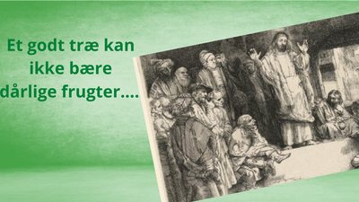 Et billede af en gruppe mennesker i en indendørs scene med teksten "Et godt træ kan ikke være større end dets rødder..."