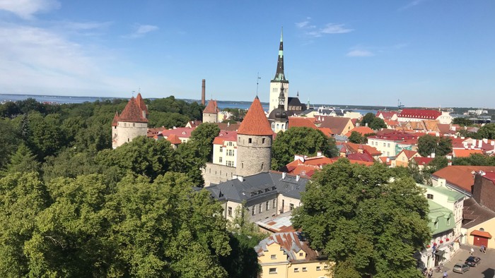 Historische Stadt mit Schloss und Kirche, umgeben von Grünflächen und Häusern