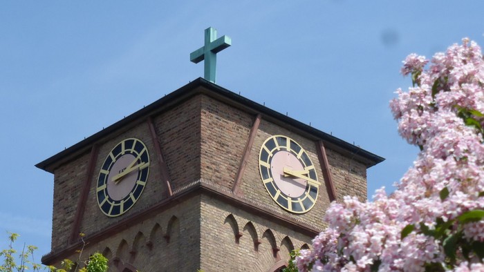 Ein Kirchturm mit Uhr und Kreuz, umgeben von blühenden Kirschblüten