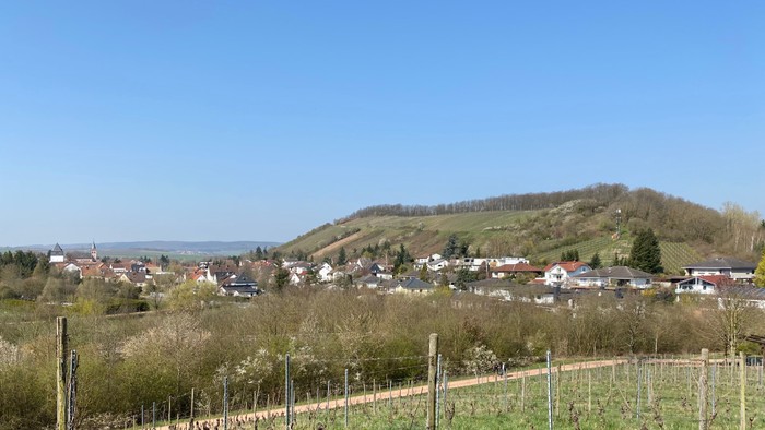 Ein malerisches Dorf liegt am Fuße eines Hügels mit Weinbergen im Vordergrund