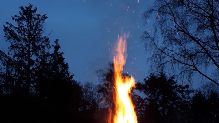 Ein Lagerfeuer brennt in der Dunkelheit, umgeben von Bäumen und Menschen.