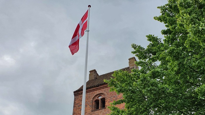 Dansk flag på tårn med træ