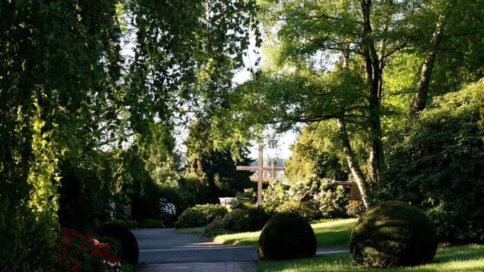 Ein gepflegter Garten mit Bäumen und Büschen, ein Weg führt hindurch