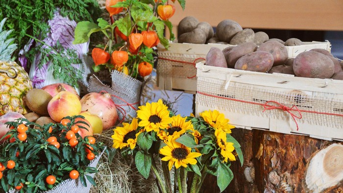 Verschiedene Blumen, Äpfel und Kartoffel