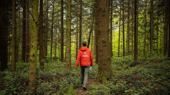 Person geht in rotem Mantel durch Wald.