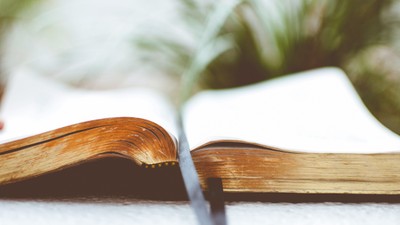 Offenes Buch mit leeren Seiten und einem darauf liegenden Stift.