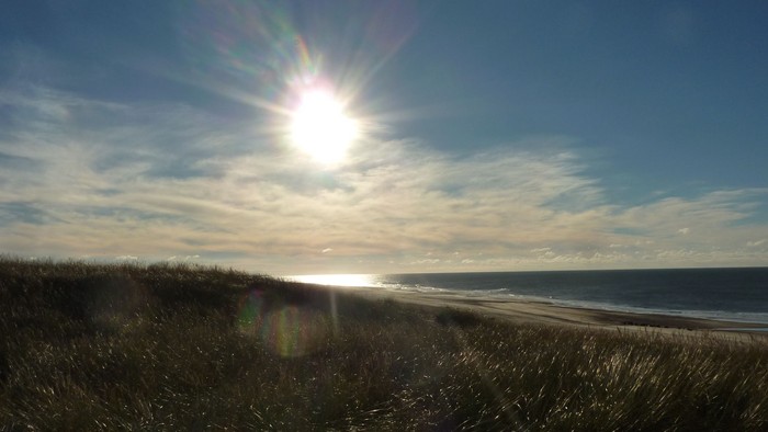 Sonne geht über dem Meer unter, Strand mit hohem Gras